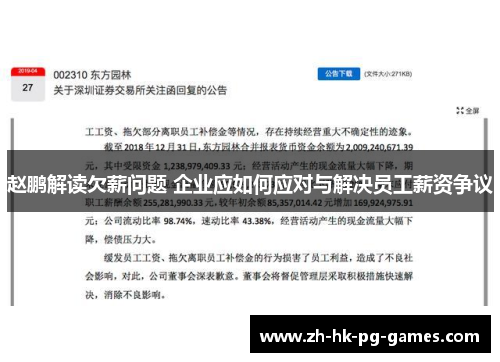 赵鹏解读欠薪问题 企业应如何应对与解决员工薪资争议